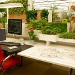 desk-plants
