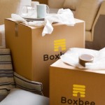 boxbee-boxes