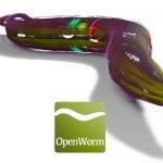 open-worm
