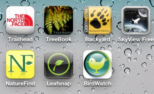 Study that the potential for nature apps remains untapped | The Horizons Tracker