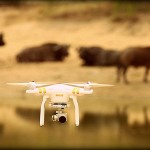 drone-safari