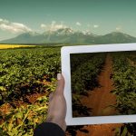 big-data-agriculture